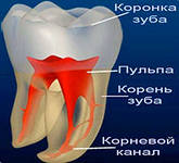 Зуб